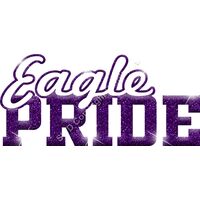 GLT59   PURPLE GLITTER Thumbnail